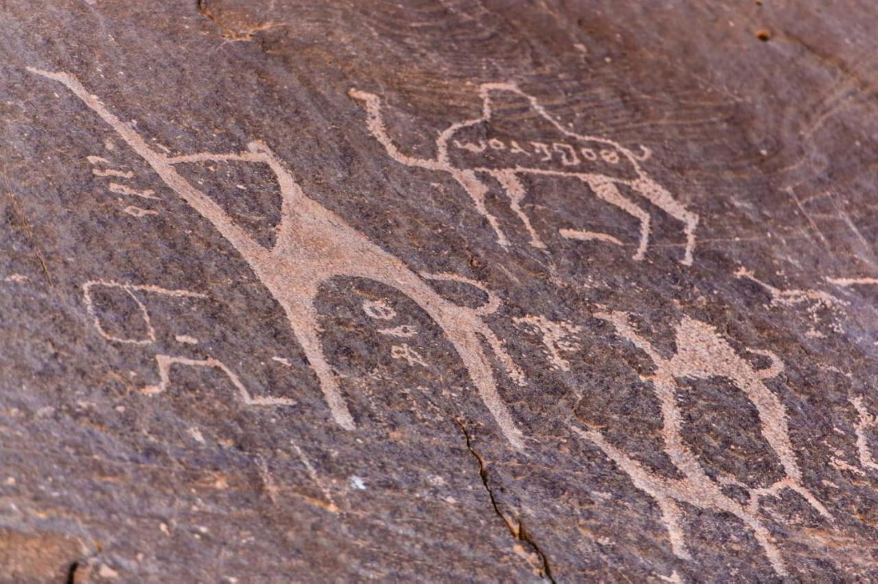 Harmony Luxury Camp Hotell Wadi Rum Exteriör bild
