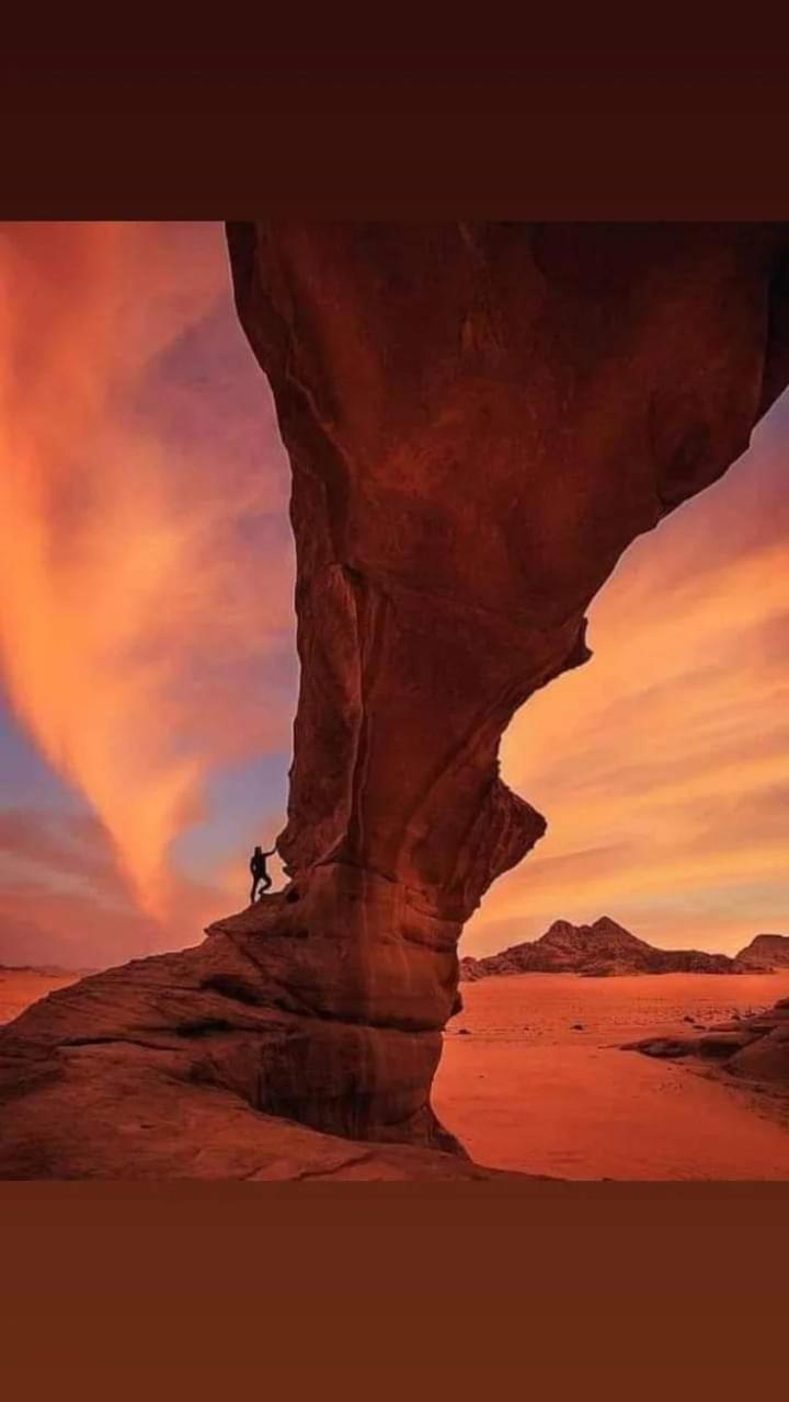 Harmony Luxury Camp Hotell Wadi Rum Exteriör bild