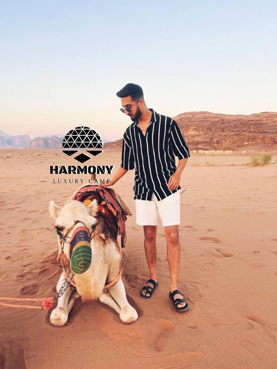 Harmony Luxury Camp Hotell Wadi Rum Exteriör bild