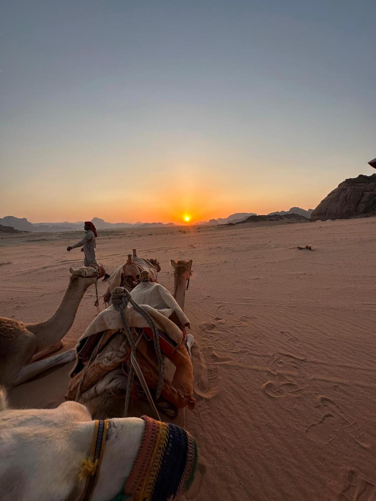 Harmony Luxury Camp Hotell Wadi Rum Exteriör bild