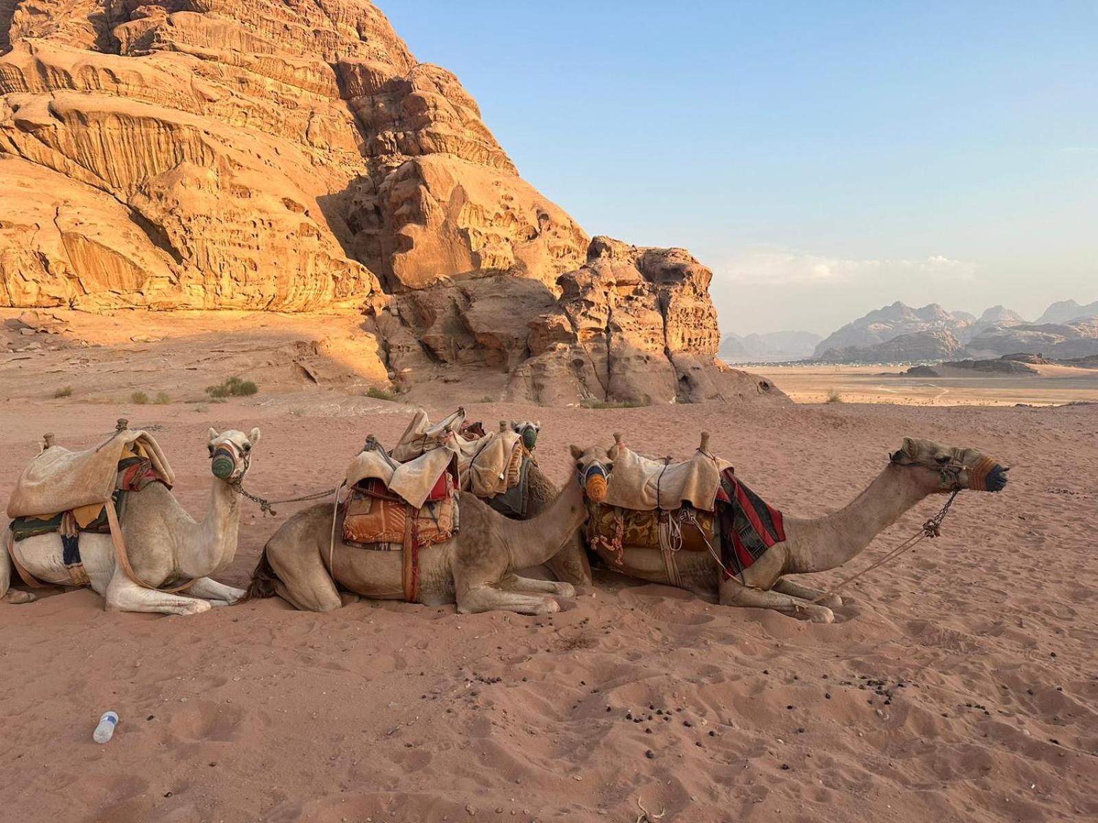 Harmony Luxury Camp Hotell Wadi Rum Exteriör bild